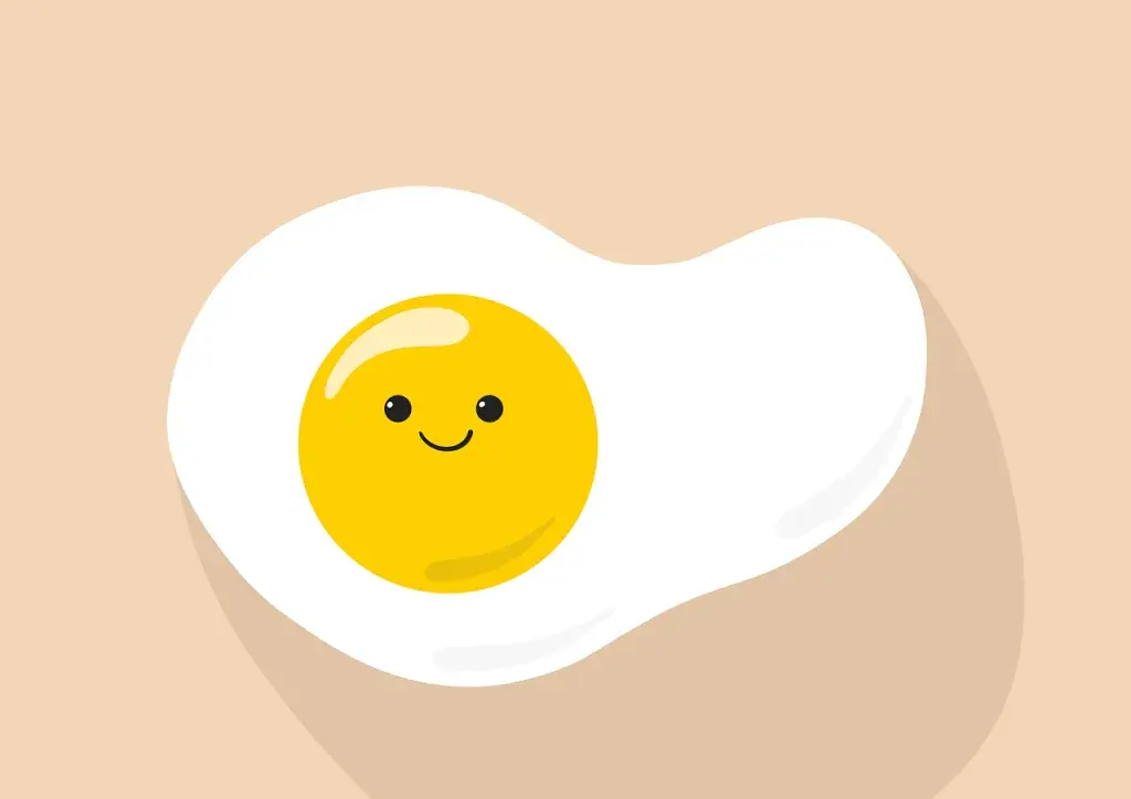 egg, sunny side egg, protein, breakfast, food, egg, egg, egg, egg, egg
